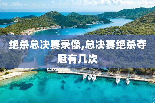 绝杀总决赛录像,总决赛绝杀夺冠有几次